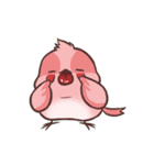 cute parrotbills！（個別スタンプ：15）