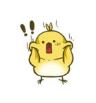 cute parrotbills！（個別スタンプ：22）