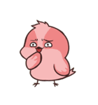 cute parrotbills！（個別スタンプ：27）