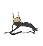 cute parrotbills！（個別スタンプ：40）