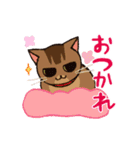 いつでもねこだまり2（個別スタンプ：23）