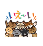 いつでもねこだまり2（個別スタンプ：40）