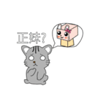 TiramiMouse（個別スタンプ：36）