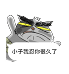 grumpy face cat ojisan（個別スタンプ：10）