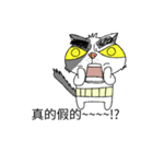 grumpy face cat ojisan（個別スタンプ：22）