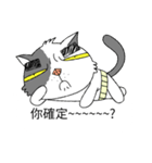 grumpy face cat ojisan（個別スタンプ：23）