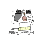 grumpy face cat ojisan（個別スタンプ：32）