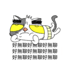grumpy face cat ojisan（個別スタンプ：34）