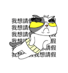 grumpy face cat ojisan（個別スタンプ：35）
