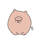 The earnest pig(English)（個別スタンプ：11）