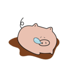 The earnest pig(English)（個別スタンプ：34）