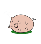 The earnest pig(English)（個別スタンプ：38）