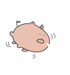 The earnest pig(English)（個別スタンプ：40）