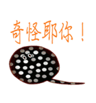 Water World Biological school fun（個別スタンプ：25）