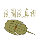 Water World Biological school fun（個別スタンプ：37）