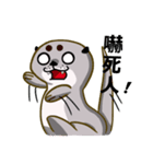 Naughty Otter（個別スタンプ：2）