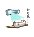 Naughty Otter（個別スタンプ：9）