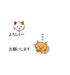 吹き出しの中から子猫（個別スタンプ：5）