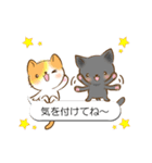 たくねこ（個別スタンプ：10）