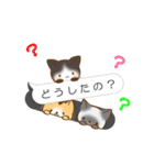 たくねこ（個別スタンプ：12）