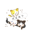 たくねこ（個別スタンプ：19）