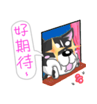 Silly Diary-The puppy version（個別スタンプ：37）