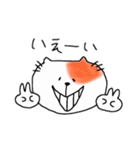 猫のテン（個別スタンプ：6）