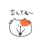 猫のテン（個別スタンプ：17）