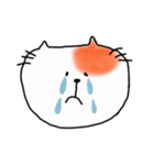 猫のテン（個別スタンプ：22）