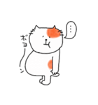 猫のテン（個別スタンプ：36）