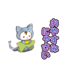 ずきんのねこ（個別スタンプ：4）