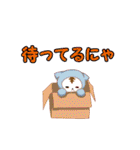 ずきんのねこ（個別スタンプ：17）