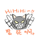 Cats everyday life（個別スタンプ：2）