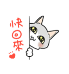 Cats everyday life（個別スタンプ：16）