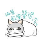 Cats everyday life（個別スタンプ：21）