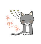Cats everyday life（個別スタンプ：24）