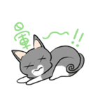 Cats everyday life（個別スタンプ：35）