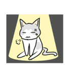 Cats everyday life（個別スタンプ：36）