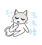 Cats everyday life（個別スタンプ：37）