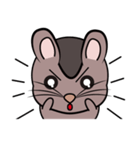Lele ( rat )（個別スタンプ：13）