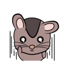 Lele ( rat )（個別スタンプ：14）