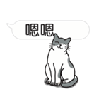 Meow Star to help~Occupy Chat（個別スタンプ：3）