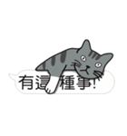 Meow Star to help~Occupy Chat（個別スタンプ：4）