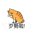 Meow Star to help~Occupy Chat（個別スタンプ：9）