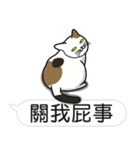 Meow Star to help~Occupy Chat（個別スタンプ：12）