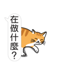 Meow Star to help~Occupy Chat（個別スタンプ：15）