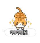 Meow Star to help~Occupy Chat（個別スタンプ：17）