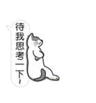 Meow Star to help~Occupy Chat（個別スタンプ：23）