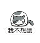 Meow Star to help~Occupy Chat（個別スタンプ：24）