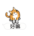 Meow Star to help~Occupy Chat（個別スタンプ：26）